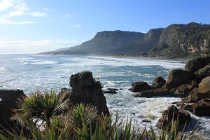 Paparoa NP - Gletscher-038
